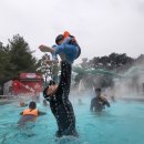 서인 합기도검무관 이미지