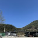 도둑골매점