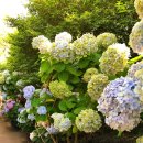 제주몽펜션 이미지