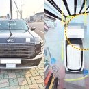 현대 팰리세이드 중고차 2019년 3.8 awd 가솔린 매입 후기 -서울중고차-