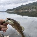 애:영스테이 이미지