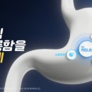 엘&엠 이미지