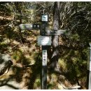 소백산가는길민박 이미지