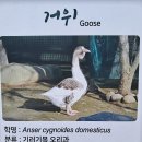 인천대공원(어린이동물원) 이미지