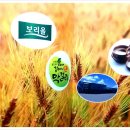 (주)보리올
