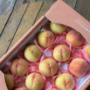 부여축산농협본점 이미지