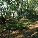 성지축산2 이미지