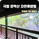 포천 국립 운악산 자연휴양림 추천 연립동 꽃창포 숙박 후기