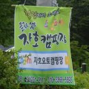 느티나무전기조명