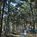 신흑마을회관 이미지