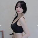 맥심핏