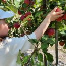 천만농장 이미지