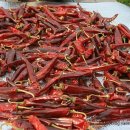 희나리농장 이미지