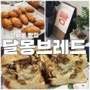 선화동 빵집 추천 대전 빵투어 베이커리 | 달몽브레드