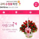 수정꽃화원 이미지