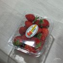 희수농장 이미지