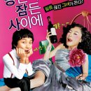 [한국영화] 당신이 잠든 사이에 (2008) 이미지