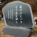 세아조각수목원 Daum카페