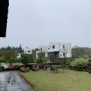 백화stay