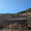 [내돈내산] 또 갔다 구랭, 구례 지리산 화엄사