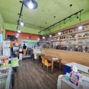 단양마늘만두 이미지