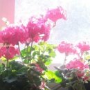 동양 안마지압원 이미지