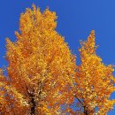 목동동로2길 이미지