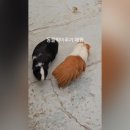 청성농장 이미지