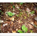 고래산농장 이미지