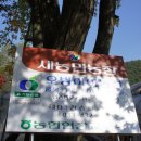 오병이어농장 이미지