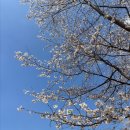 주식회사 씨에스 이미지