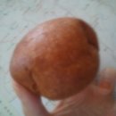 따삐오베이커리 이미지