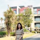 DOT&STRIPE 이미지