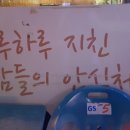 뚱이네 포장마차 이미지