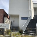 비비다아리 이미지