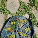 최희섭공원 이미지