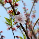 골프존마을 이미지