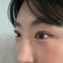 정광빌딩 | 광명사거리역 속눈썹펌 인생눈썹 자극없이 자연스러운 C컬 후기
