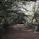 비자림빌리지3 이미지