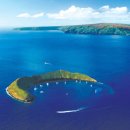 하와이야시장 이미지