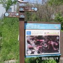 ♡1363차2026.04.19. 회동동 ~ 광안리 트레킹 ♡ 이미지