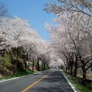 (주)프라임월드 이미지