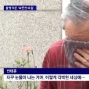 돈쭐내러 갑니다 이미지