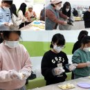 북일초등학교 이미지