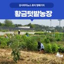 황금텃밭농장 이미지