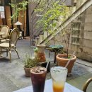 수정위례-D-8 | 베러댄레스트카페 애견동반 분위기 좋은 위례 커피숍 데이트 연말모임 추천