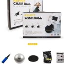 에버라스트 리핏 체어볼 짐볼체어 짐볼의자 GYMBALL CHAIR BALL[55] 이미지