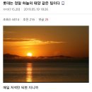 태양pc방 이미지