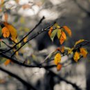 (주)바이오플랫폼 | 지투지바이오 – InnoLAMP 기반 장기지속형 플랫폼 경쟁력 분석