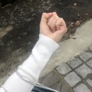 서영수선